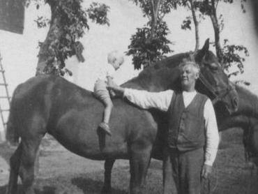 Lille Hans højt til vejrs på en af nordbaggerne, støttet af sin morfar. Så det var nok ikke ved den lejlighed, han røg af hesten (1941/42).