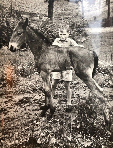 1949 Erik på 8 år med oldenborghoppens nye føl.