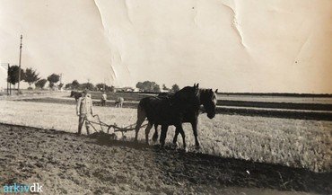 Hørkærgård 1920-40. Efterårspløjning med svingplov. Produceredes i Danmarl fra 1830 og fortrængte o. 1860 fuldstændig hjulploven. Her er 2 x 2 heste i gang på samme mark, men ploven kunne også trækkes af en enkelt, kraftig hest. Moderne, traktordrevne plove bruger samme plovskærsprincip, men med flere/mange plovskær. 